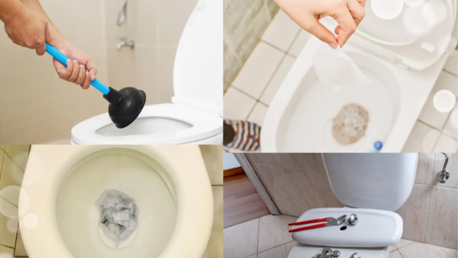 Potential Issues With Your Toilet and How to Fix Them