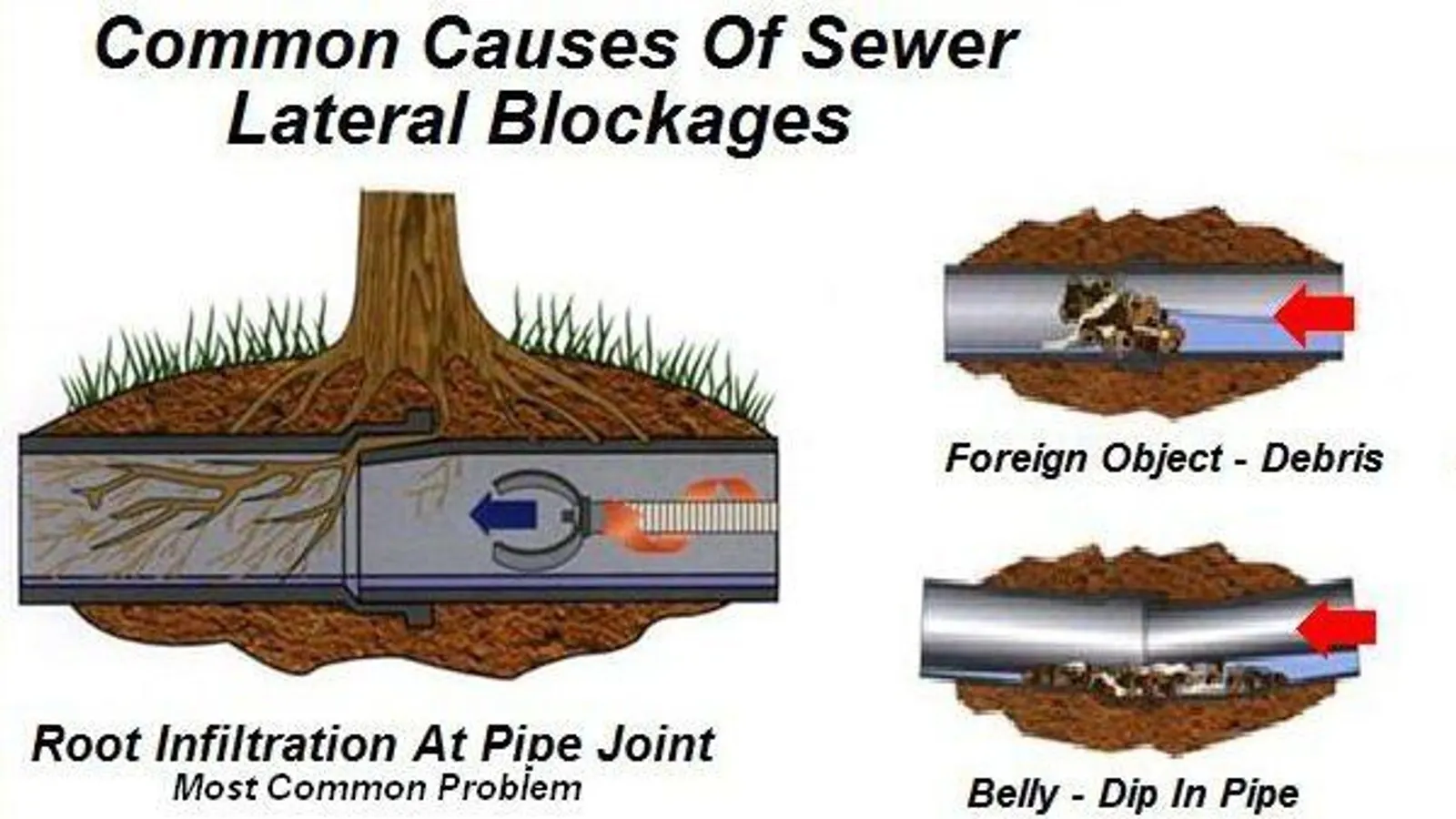 Roots in Sewer Line Solutions